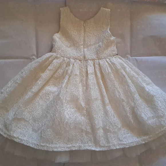 Elegant Lace Dress with Gold Accents - Picture 6 of 7